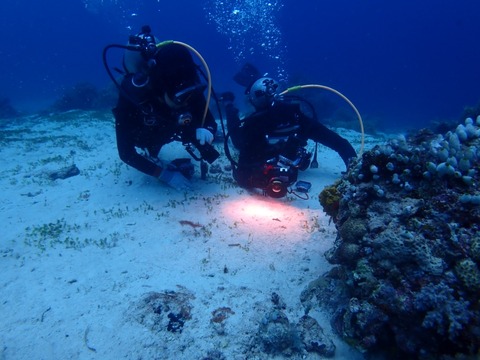 P7010035
