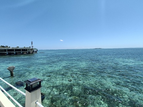 IMG20260425102231