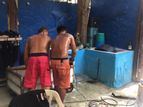 23318801_1495344980585252_233255582_n (480x360)