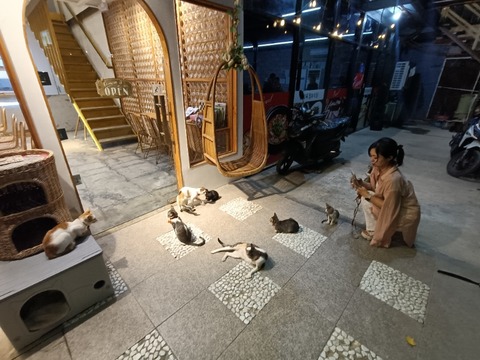 IMG20260828210341