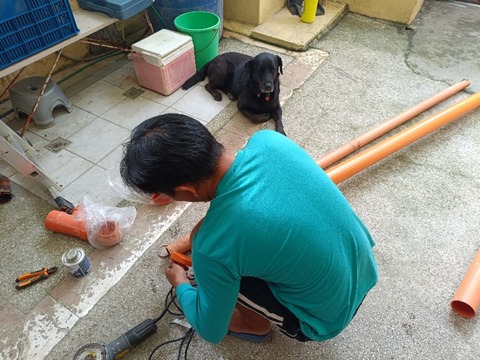 IMG20260114091105