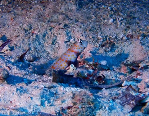 P1300213