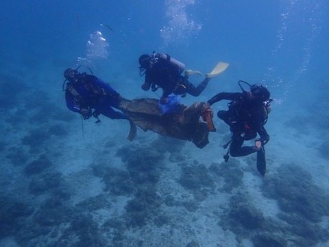 P2100032