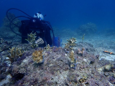 P5200236