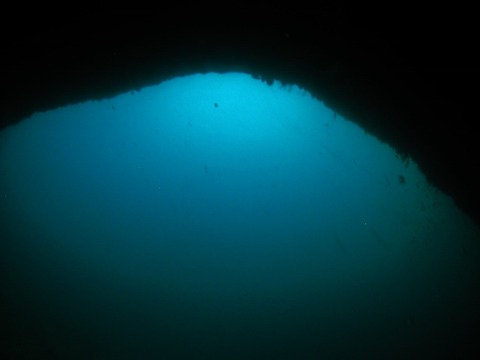 P1010011 (640x480)
