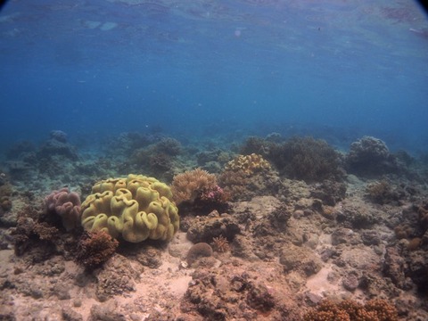 PB080133
