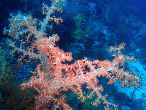 Messenger_creation_7AB54A2F-69BB-45D6-BA87-4B156B8331B3