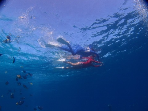 P1177663 (640x480)