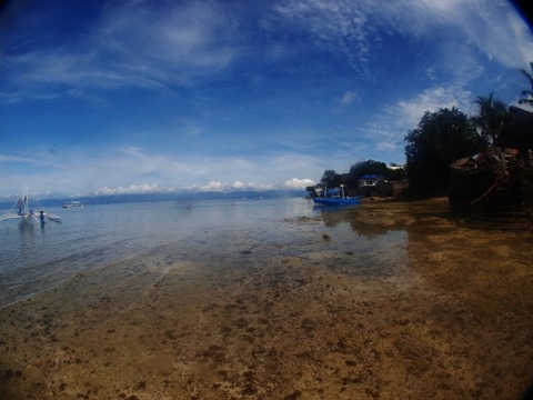 P9105913 (640x480)
