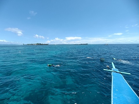 IMG20250412101936