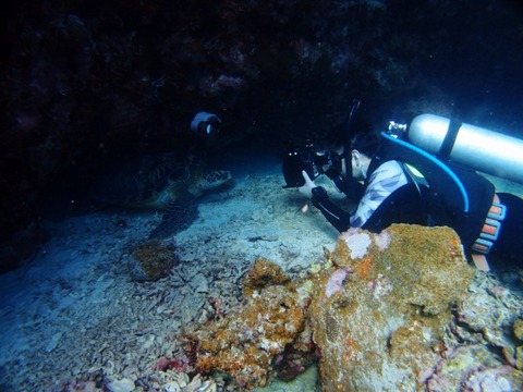 P5042422 (640x480)