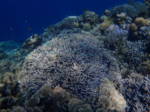 P7030016