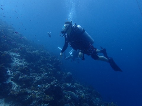 P1120025 (640x480)