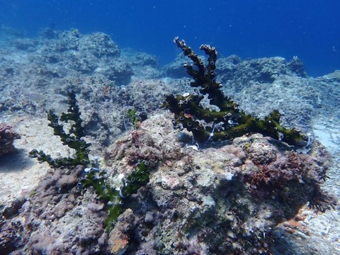 P6160118