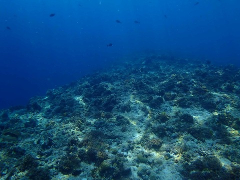 Messenger_creation_45A31B81-E942-49BB-8D87-ED3015E40AF3