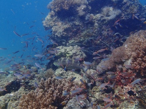 P2210010 (640x480)