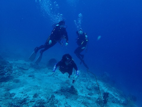 P5210640 (640x480)