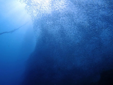 Messenger_creation_026739FE-B4FE-4CBA-9CC5-281E98FCE3CC