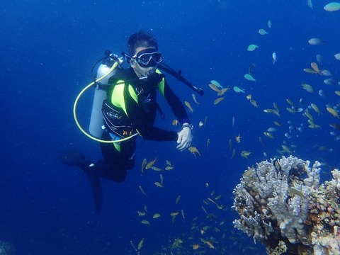 P4280233 (640x480)
