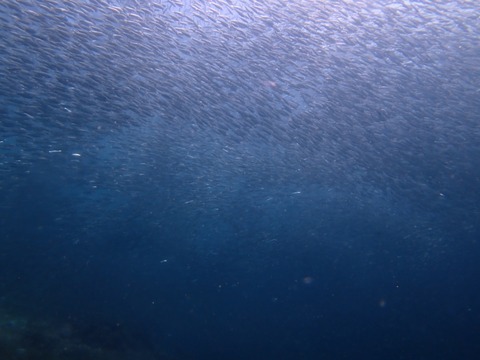 P3140089