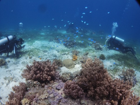 PA170058 (640x480)