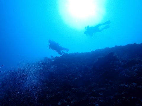 P5080072~2