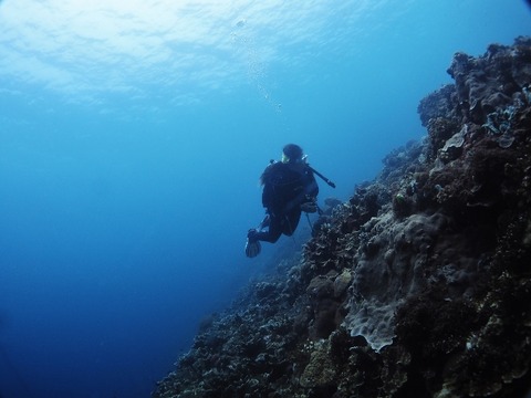 P9180082 (640x480)