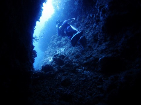 PB279119 (640x480)