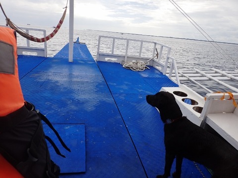 P4110010 (640x480)