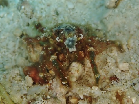 S__11755533 (640x480)