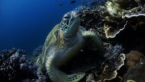 P2120098 (640x360)