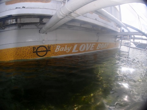 P2261296 (640x480)
