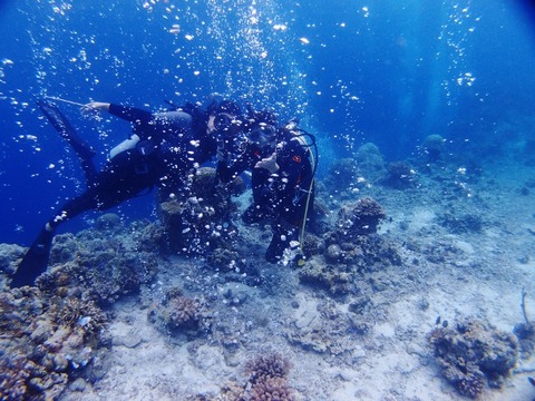 P1133187 (640x480)