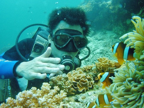 P1010113 (640x480)