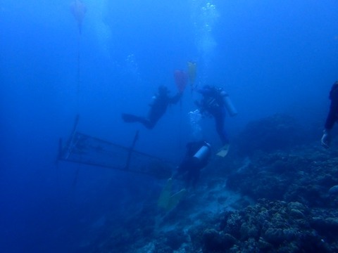 P3280019