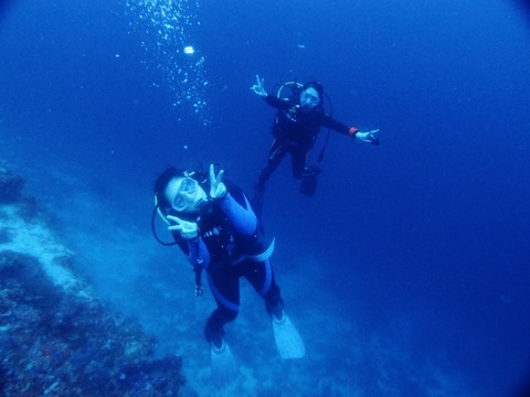 P7011945 (640x480)