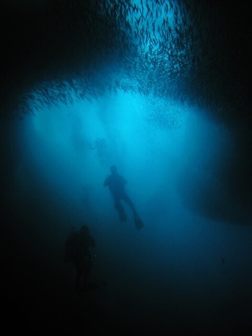 P1010033 (480x640)