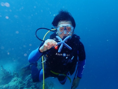 P2240582 (640x480)