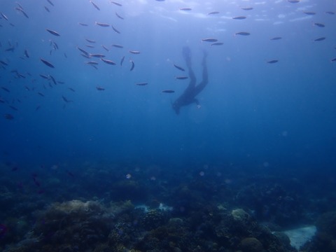 P7260003