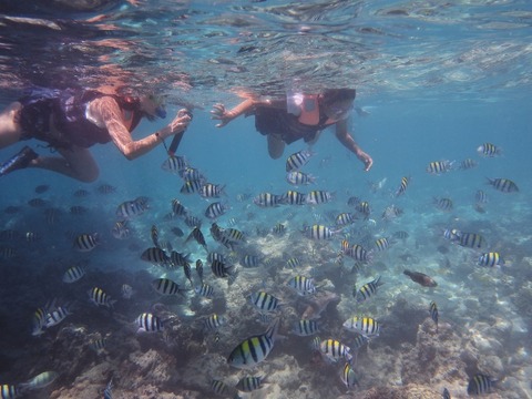 P8140059 (640x480)