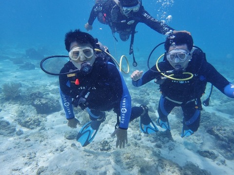 PA210019 (640x480)