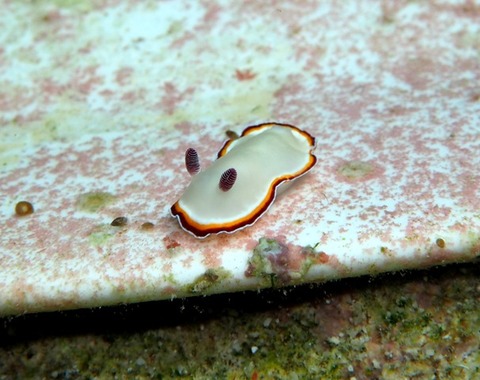 P9280125