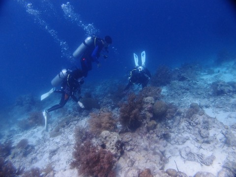 P1011713 (640x480)