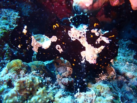 P5040005