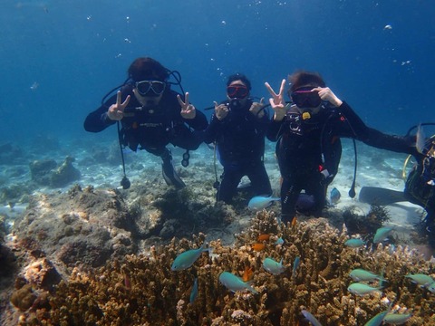 Messenger_creation_C3176BB2-AD15-45E8-AAD8-8DB5B0B2E24B