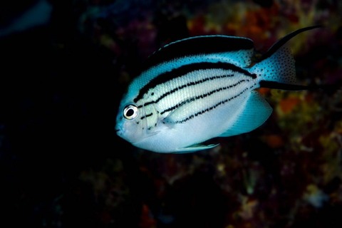 IMG_20260106_115551_198