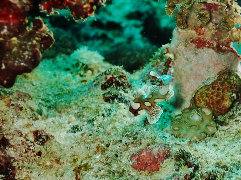 PB030025 (640x480)