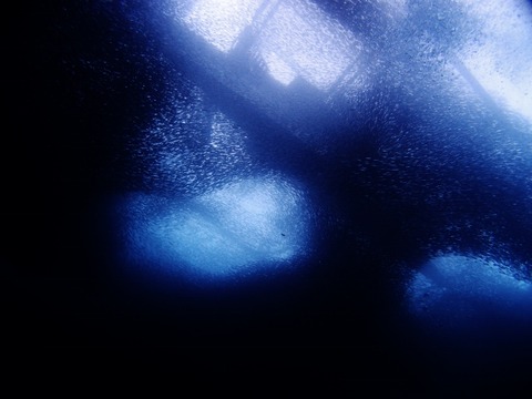 PB218540 (640x480)