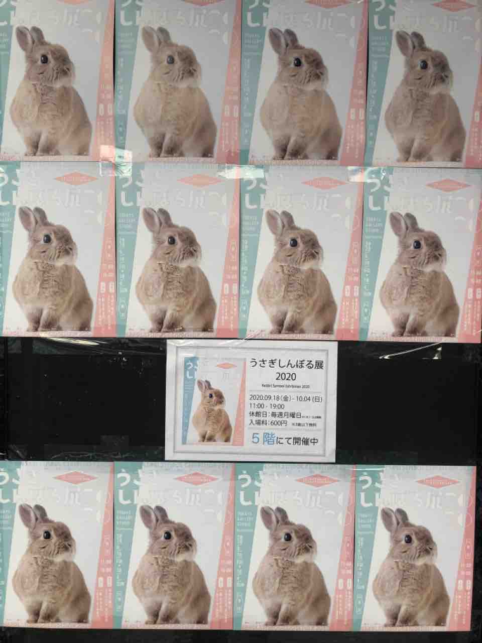 うさぎしんぼる展 Hiro日記 ヒロblog 日記3冊目 改め うさぎしんぼる展 Hiro日記 ヒロblog 日記3冊目 改め
