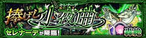 セレナーデバナー
